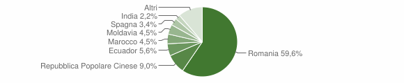 Grafico cittadinanza stranieri - Robassomero 2010