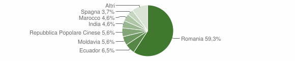 Grafico cittadinanza stranieri - Robassomero 2013