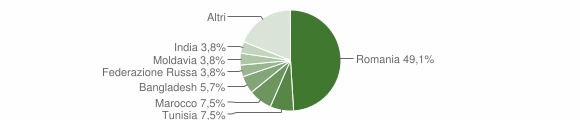 Grafico cittadinanza stranieri - Roletto 2012