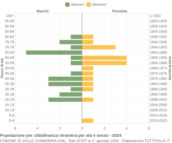 Grafico cittadini stranieri - Valle Cannobina 2024