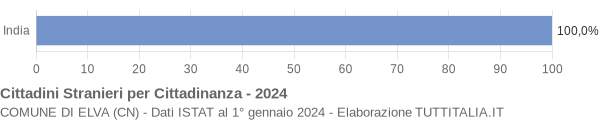 Grafico cittadinanza stranieri - Elva 2024