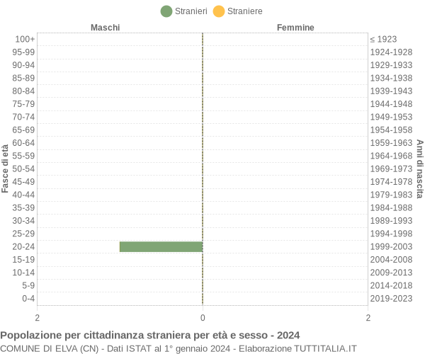 Grafico cittadini stranieri - Elva 2024