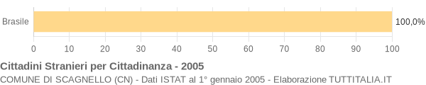 Grafico cittadinanza stranieri - Scagnello 2005