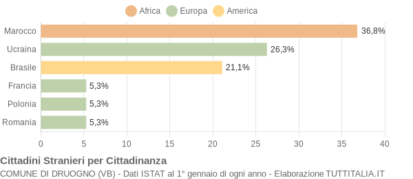 Grafico cittadinanza stranieri - Druogno 2007