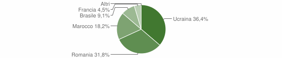 Grafico cittadinanza stranieri - Druogno 2008