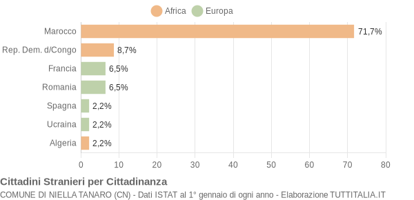 Grafico cittadinanza stranieri - Niella Tanaro 2005