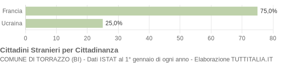 Grafico cittadinanza stranieri - Torrazzo 2008