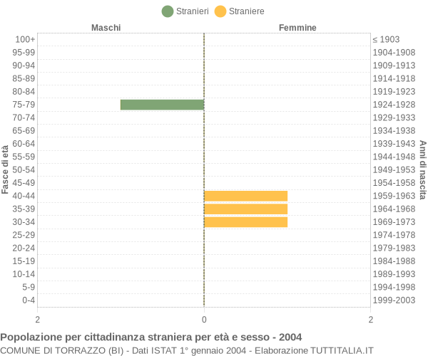 Grafico cittadini stranieri - Torrazzo 2004