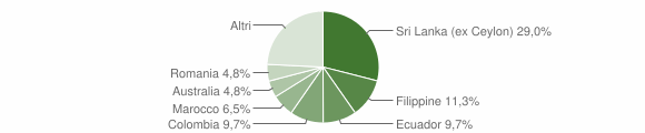 Grafico cittadinanza stranieri - Belgirate 2011