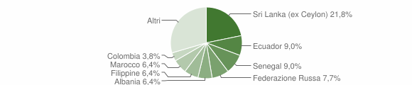 Grafico cittadinanza stranieri - Belgirate 2015