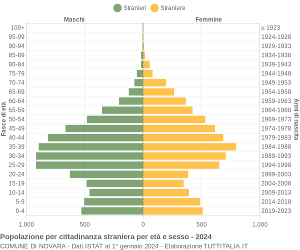 Grafico cittadini stranieri - Novara 2024