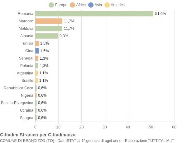 Grafico cittadinanza stranieri - Brandizzo 2013