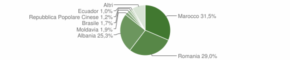 Grafico cittadinanza stranieri - Bussoleno 2015