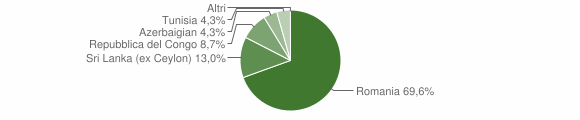 Grafico cittadinanza stranieri - Chiesanuova 2009