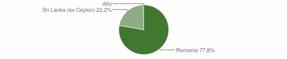 Grafico cittadinanza stranieri - Chiesanuova 2012
