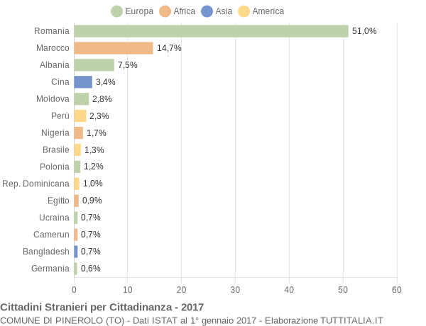 Grafico cittadinanza stranieri - Pinerolo 2017