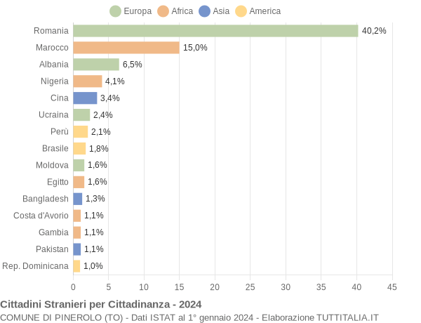 Grafico cittadinanza stranieri - Pinerolo 2024