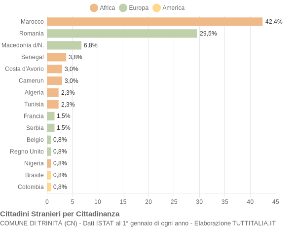 Grafico cittadinanza stranieri - Trinità 2010