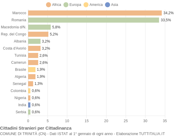 Grafico cittadinanza stranieri - Trinità 2013