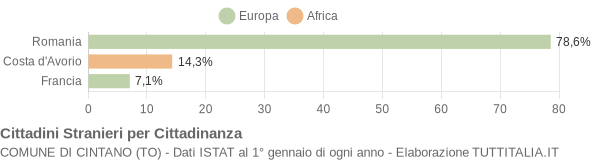 Grafico cittadinanza stranieri - Cintano 2009