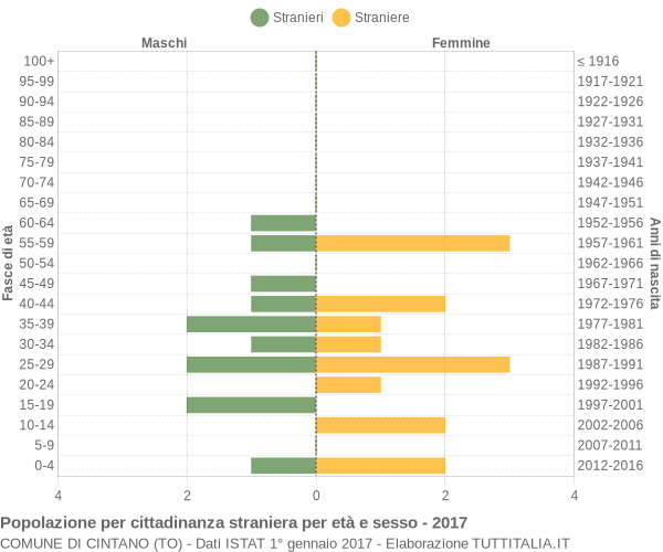 Grafico cittadini stranieri - Cintano 2017