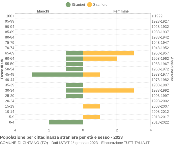 Grafico cittadini stranieri - Cintano 2023