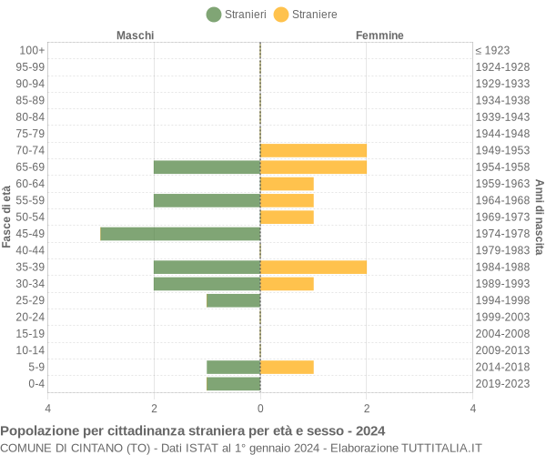 Grafico cittadini stranieri - Cintano 2024