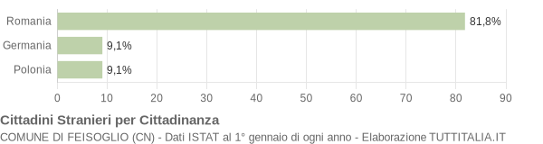 Grafico cittadinanza stranieri - Feisoglio 2009