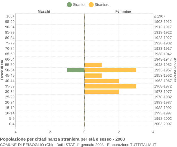 Grafico cittadini stranieri - Feisoglio 2008