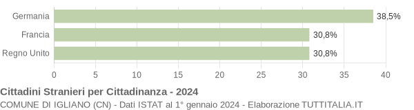 Grafico cittadinanza stranieri - Igliano 2024