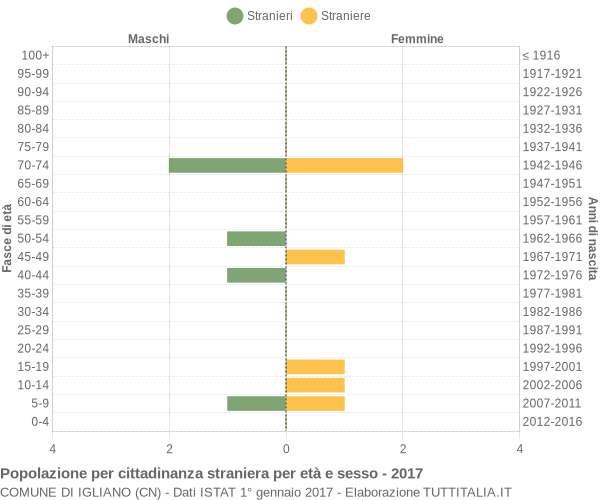 Grafico cittadini stranieri - Igliano 2017