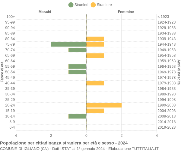 Grafico cittadini stranieri - Igliano 2024