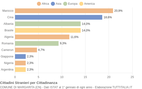 Grafico cittadinanza stranieri - Margarita 2005