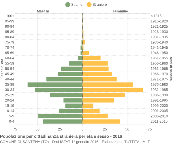 Grafico cittadini stranieri - Santena 2016