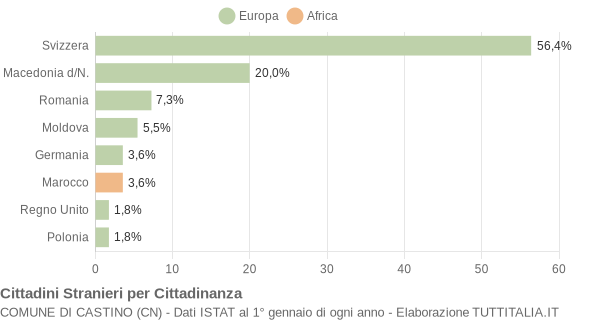 Grafico cittadinanza stranieri - Castino 2004