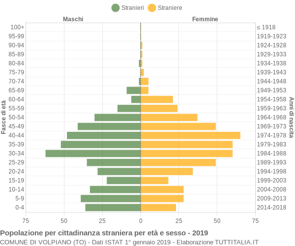 Grafico cittadini stranieri - Volpiano 2019