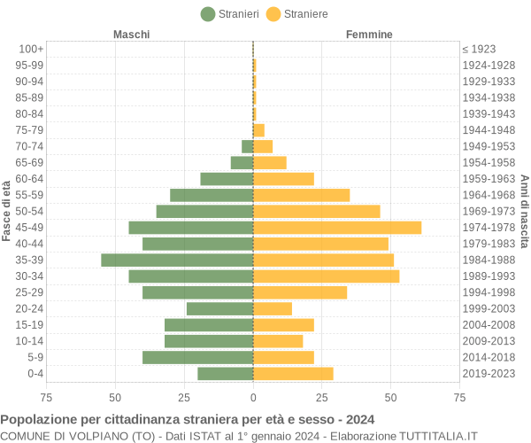 Grafico cittadini stranieri - Volpiano 2024