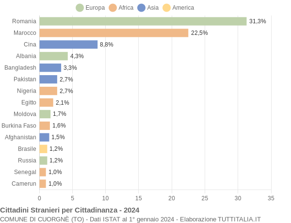 Grafico cittadinanza stranieri - Cuorgnè 2024