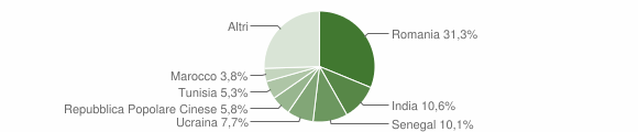 Grafico cittadinanza stranieri - Fara Novarese 2020