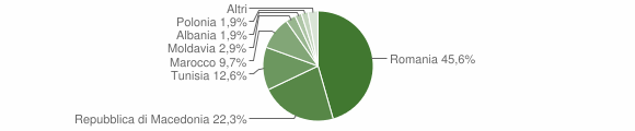 Grafico cittadinanza stranieri - Govone 2008