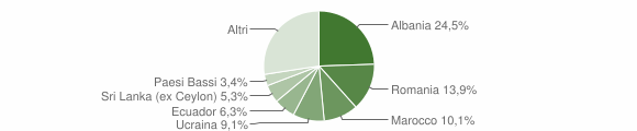 Grafico cittadinanza stranieri - Meina 2011