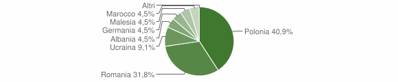 Grafico cittadinanza stranieri - Olcenengo 2011