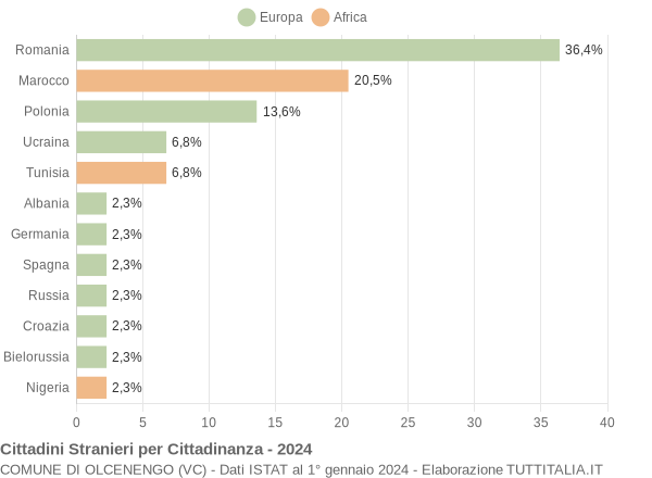 Grafico cittadinanza stranieri - Olcenengo 2024