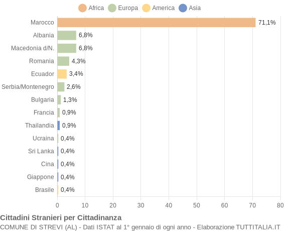 Grafico cittadinanza stranieri - Strevi 2007