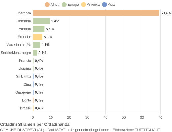 Grafico cittadinanza stranieri - Strevi 2008