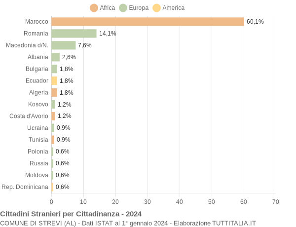 Grafico cittadinanza stranieri - Strevi 2024