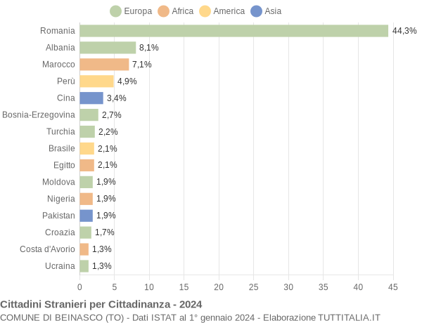 Grafico cittadinanza stranieri - Beinasco 2024