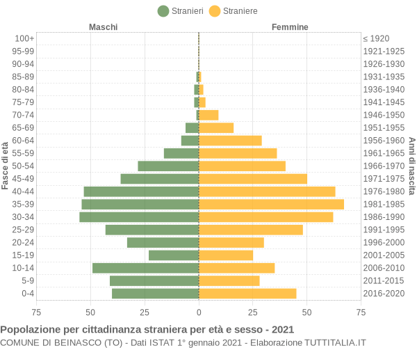 Grafico cittadini stranieri - Beinasco 2021