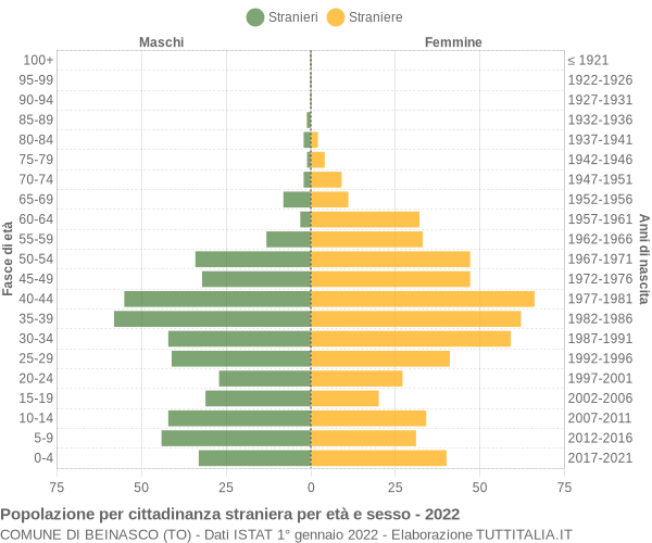 Grafico cittadini stranieri - Beinasco 2022