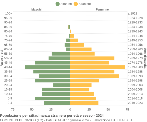 Grafico cittadini stranieri - Beinasco 2024